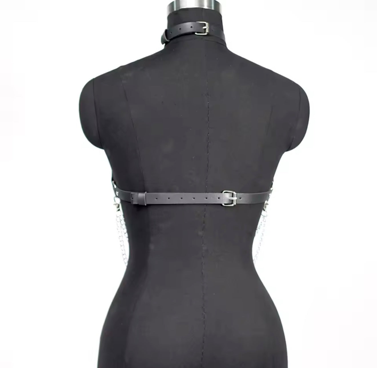 Hexa Core Harness